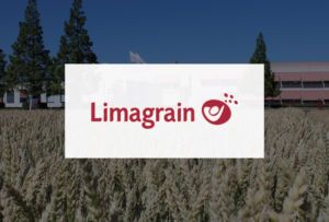 Limagrain Benelux