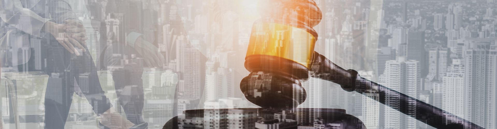 Hero-Banner-1920x500-Webinar-Auktionen