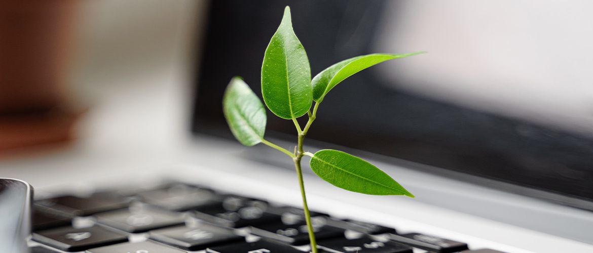sustainability