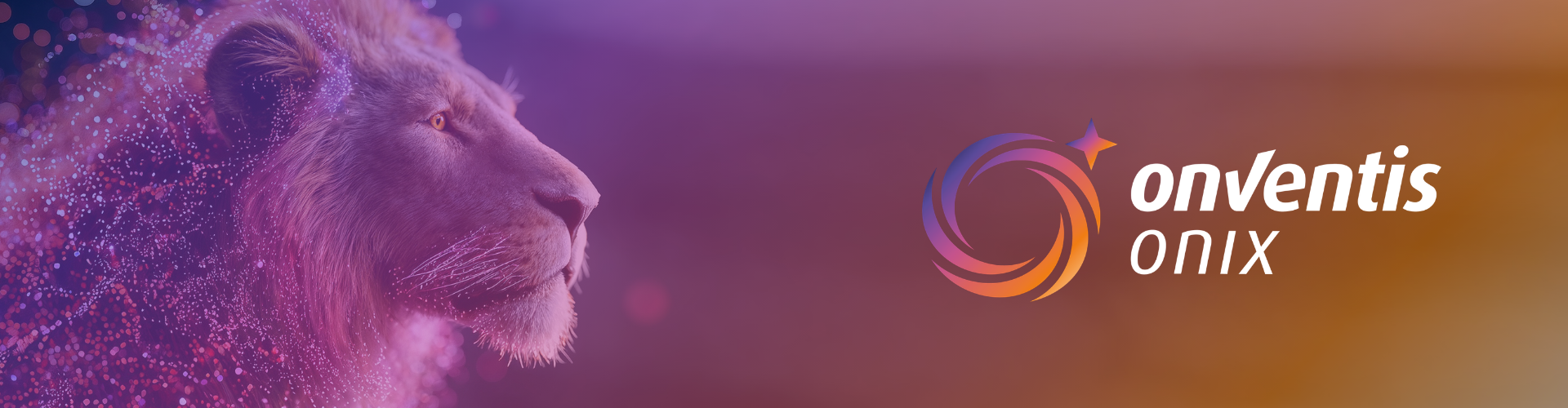Xchange Interview Florian Ahle - Mailing (1920 x 500 px)